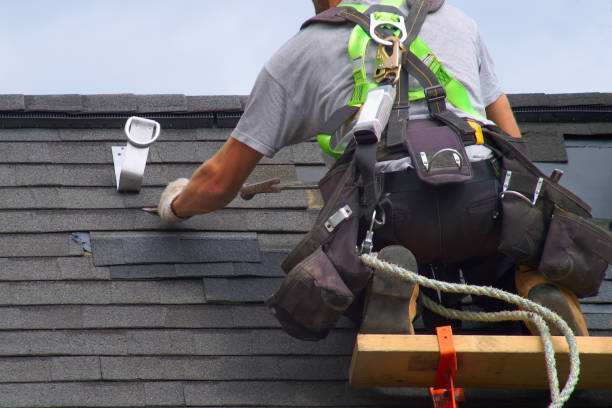 Best Storm Damage Siding Repair  in Alpine, NJ