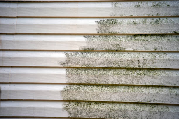 Best Stucco Siding  in Alpine, NJ