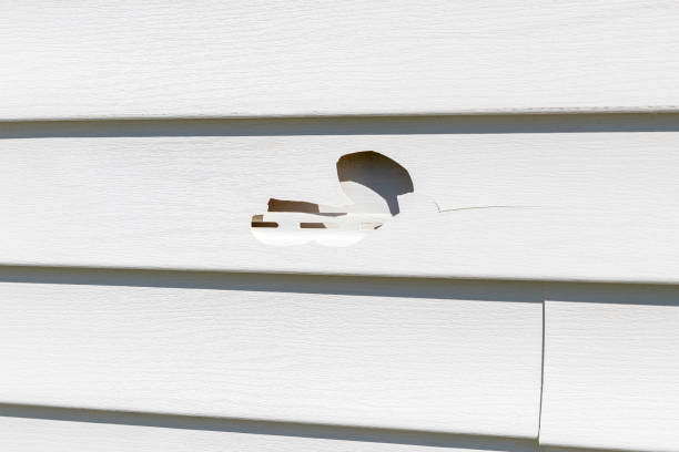 Best Siding Painting and Refinishing  in Alpine, NJ