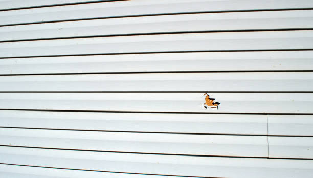 Best Fascia and Soffit Installation  in Alpine, NJ